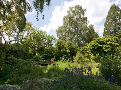 Picture 18